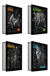 کلاسور ۲۶ حلقه ۱۰۰ برگ آفریقا پیل