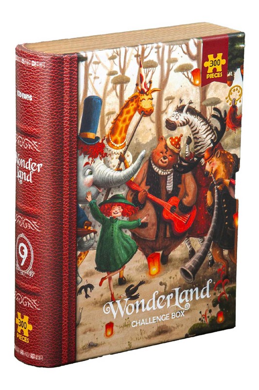 پازل ۳۰۰ قطعه Wonder Land Music