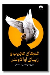 کتاب غم های عجیب و زیبای اوا لاوندر