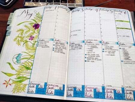 عکس زیباسازی بولت ژورنال