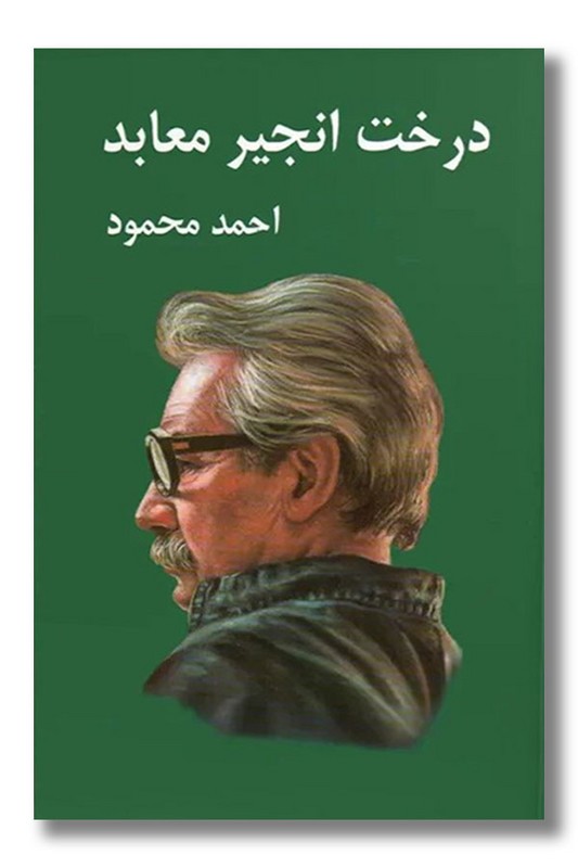 کتاب درخت انجیر معابد ۲ جلدی