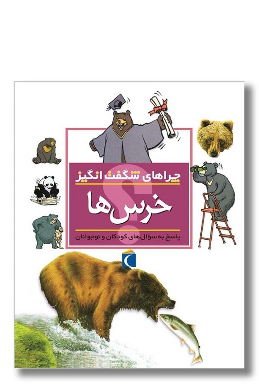 کتاب چراهای شگفت انگیز خرس ها